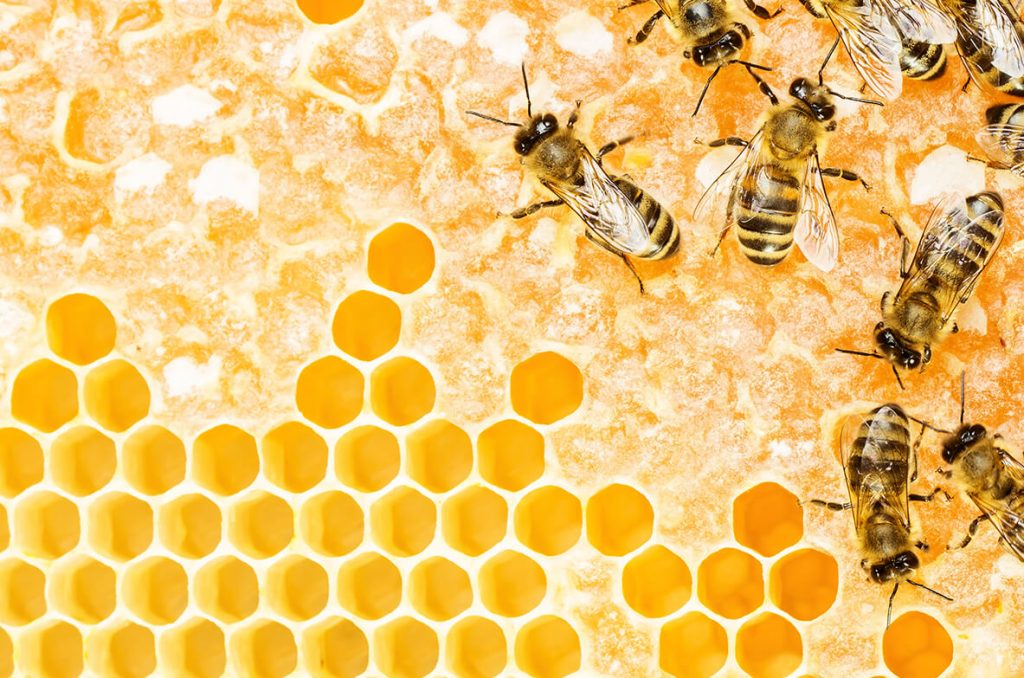 honey